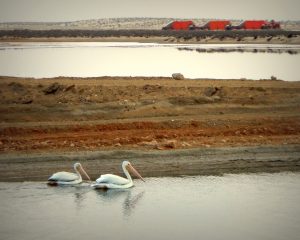 DSCN2161